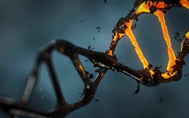 człowiek modyfikowany genetycznie