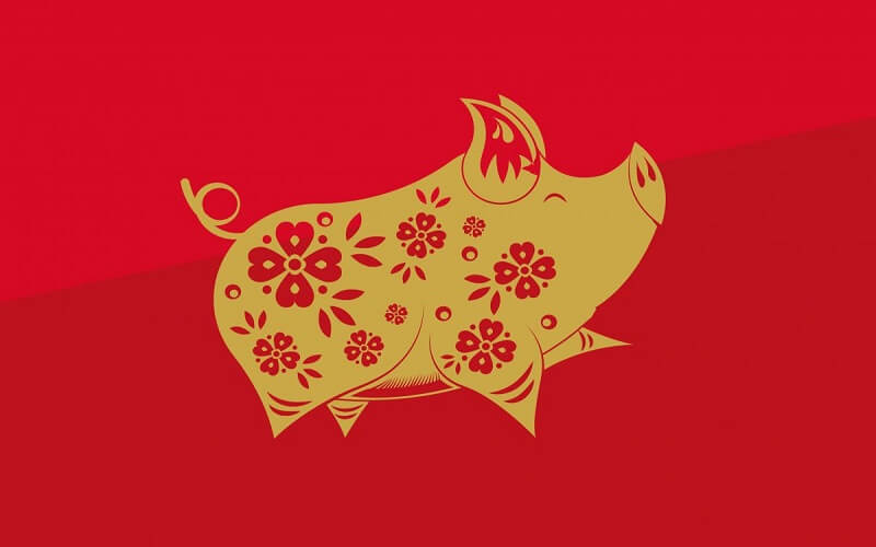 Chiński nowy rok, rok świni