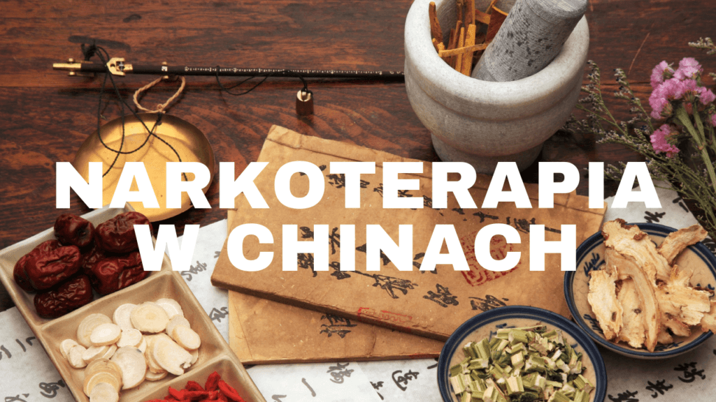 Narkoterapia w Chinach, blog, Chiny