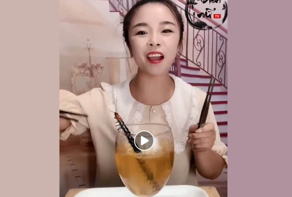 nie rozumiemy Chin, blog, chiny