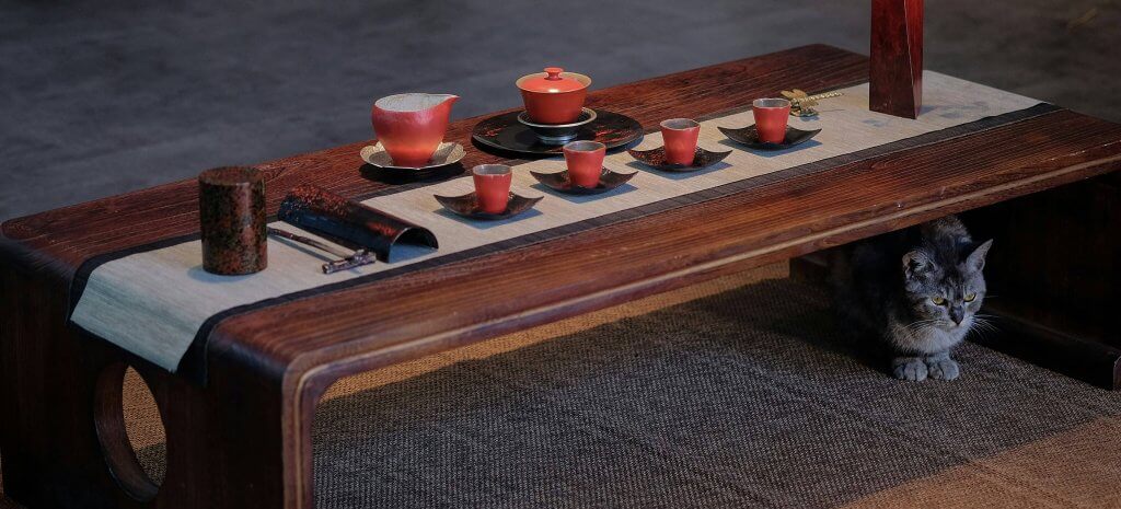 Koty w Chinach: Historia i kultura